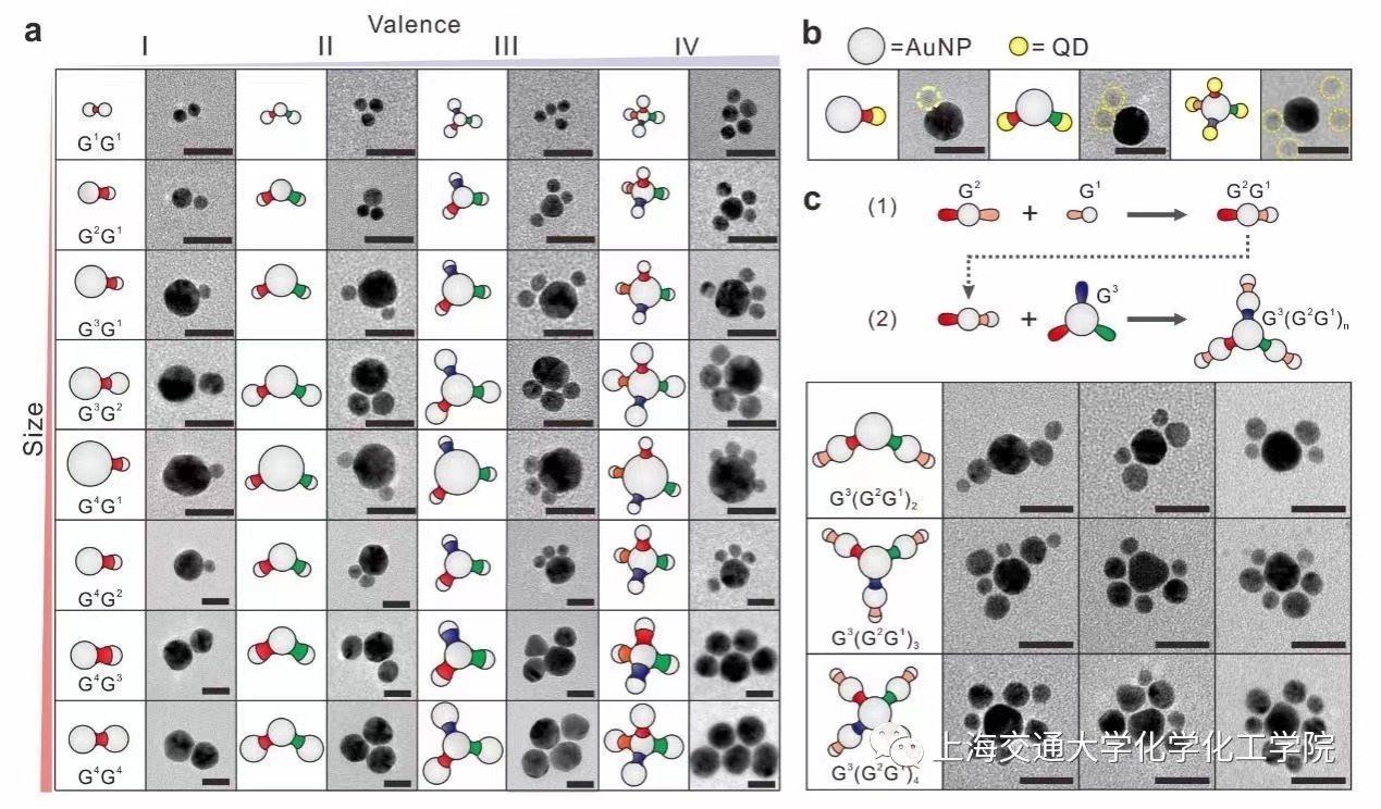 1634870346298368.jpg A.jpg