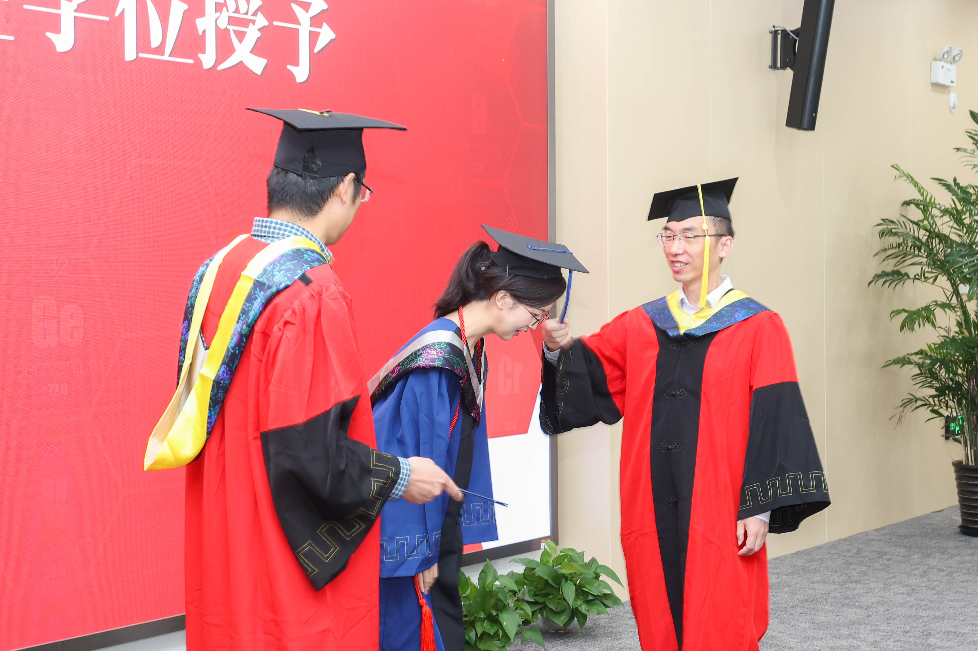 1687253907138880.jpg 211A8611.jpg