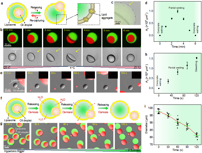 1720170528611121.png 图片 4.png