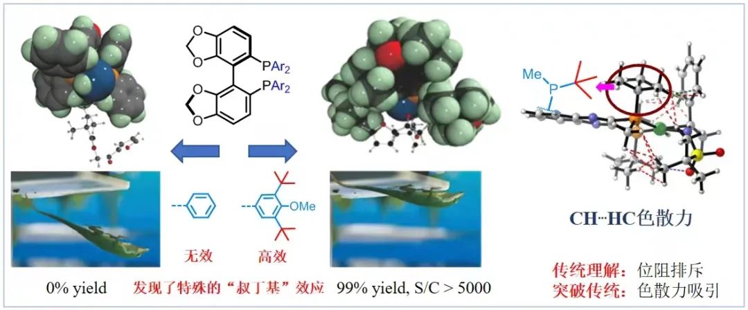 1725156510809267.jpg 640 (1).jpg