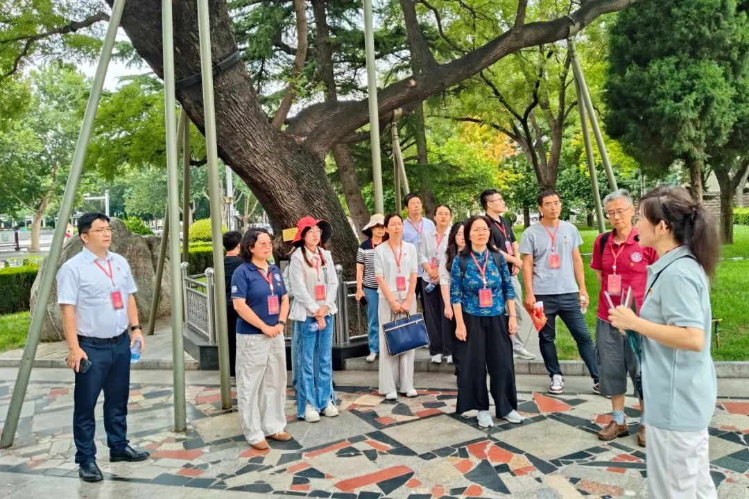 1756543055392498.png 图片 5.png